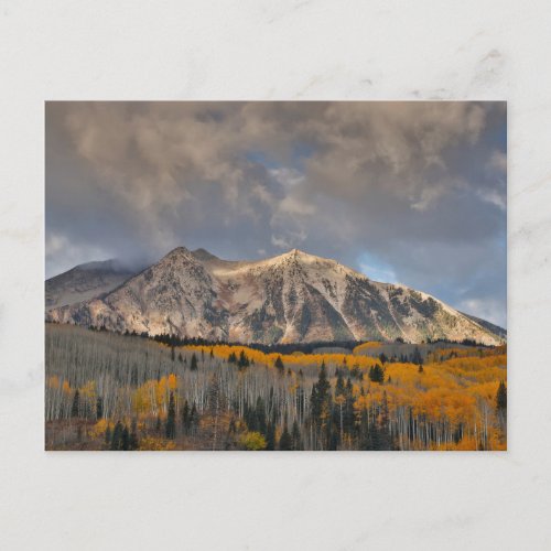 Fall Colors of Aspens Keebler Pass Postcard