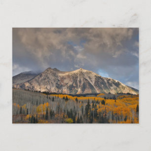 Fall Colors of Aspens, Keebler Pass Postcard