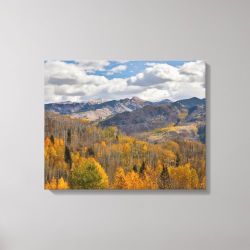 Fall Colors of Aspens  Oaks Keebler Pass Canvas Print