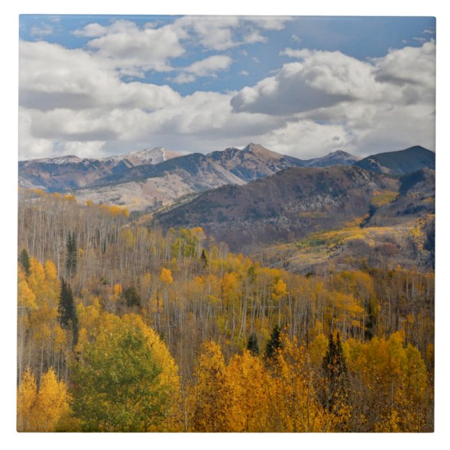 Fall Colors of Aspens & Oaks Keebler Pass Ceramic Tile (Front)