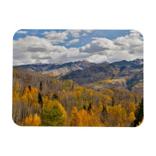 Fall Colors of Aspens  Oaks Keebler Pass Magnet