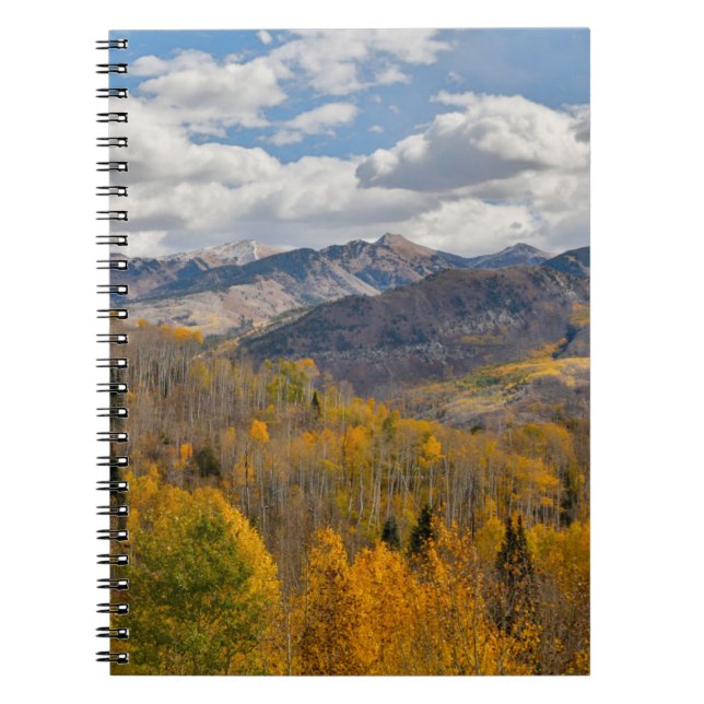 Fall Colors of Aspens & Oaks Keebler Pass Notebook (Front)