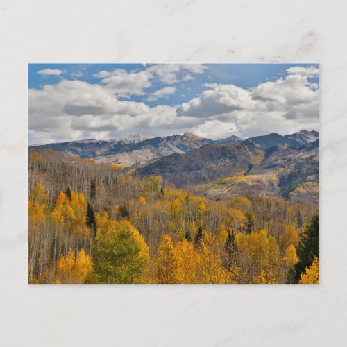 Fall Colors of Aspens  Oaks Keebler Pass Postcard