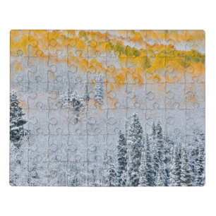 Fall Colors of Aspens   Rocky Mountains, Colorado Jigsaw Puzzle