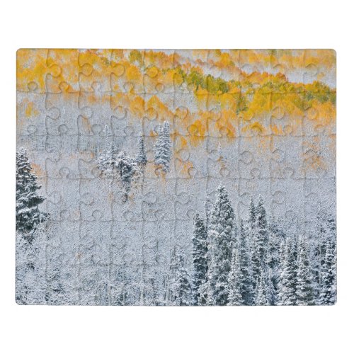 Fall Colors of Aspens  Rocky Mountains Colorado Jigsaw Puzzle