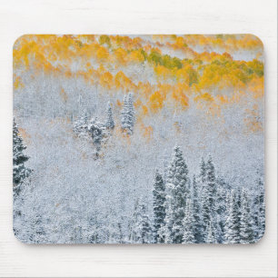 Fall Colors of Aspens Rocky Mountains, Colorado Mouse Pad