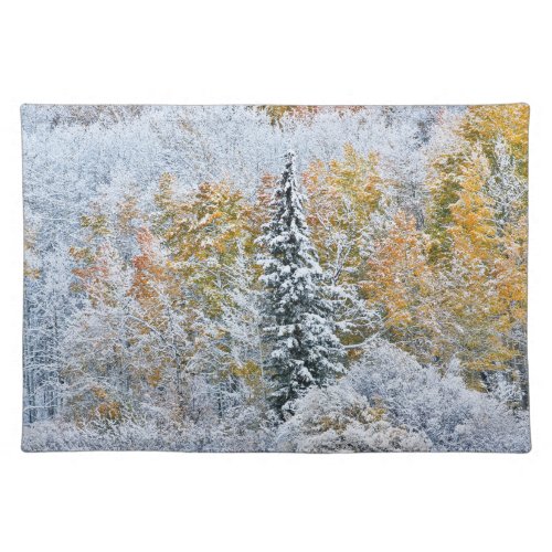 Fall Colors of Aspens  Snow Keebler Pass Cloth Placemat