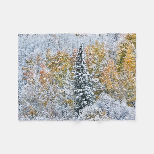 Fall Colors of Aspens  Snow Keebler Pass Fleece Blanket