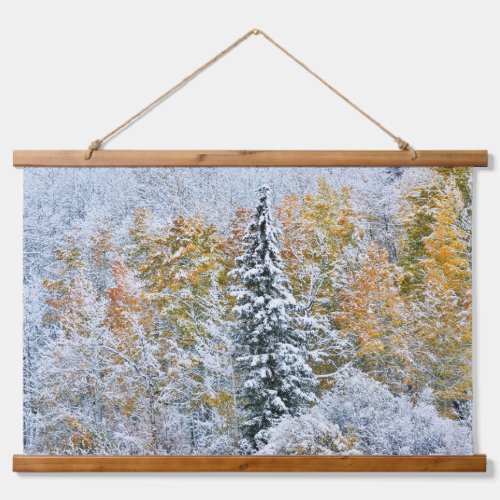 Fall Colors of Aspens  Snow Keebler Pass Hanging Tapestry