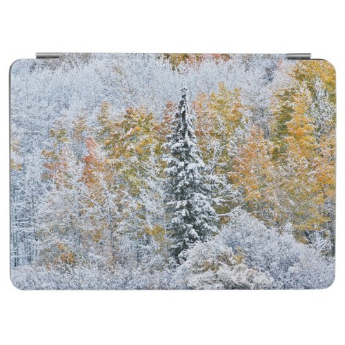 Fall Colors of Aspens  Snow Keebler Pass iPad Air Cover