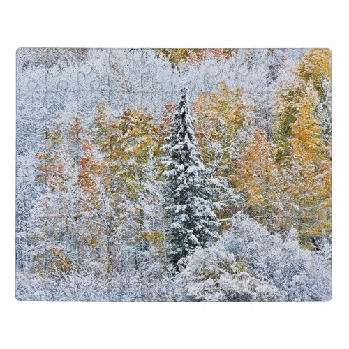 Fall Colors of Aspens  Snow Keebler Pass Jigsaw Puzzle