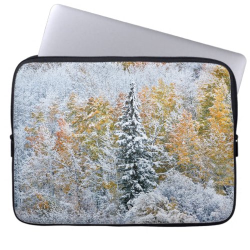 Fall Colors of Aspens  Snow Keebler Pass Laptop Sleeve