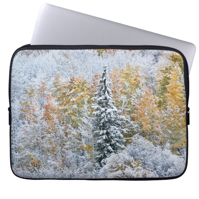 Fall Colors of Aspens & Snow Keebler Pass Laptop Sleeve (Front)