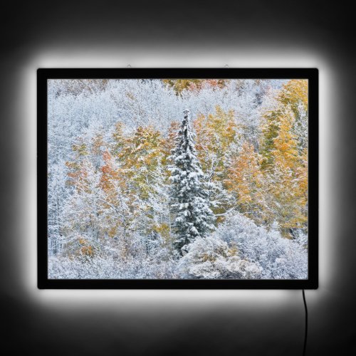 Fall Colors of Aspens  Snow Keebler Pass LED Sign