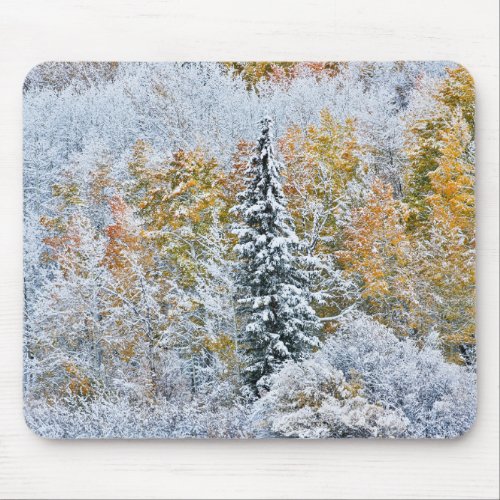 Fall Colors of Aspens  Snow Keebler Pass Mouse Pad