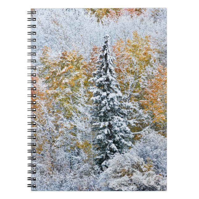 Fall Colors of Aspens & Snow Keebler Pass Notebook (Front)