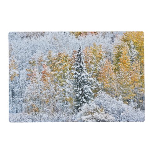 Fall Colors of Aspens  Snow Keebler Pass Placemat