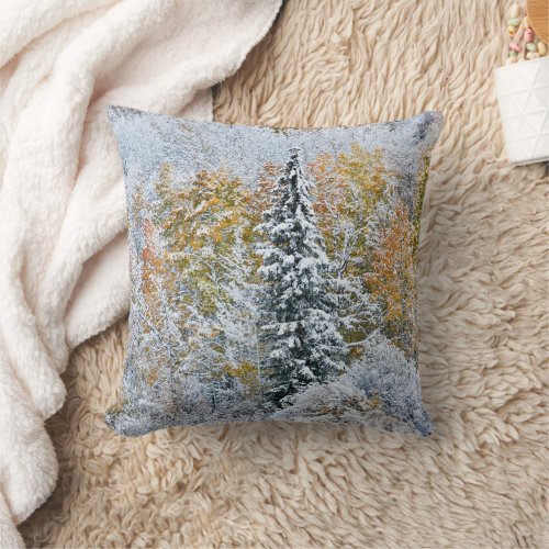 Fall Colors of Aspens  Snow Keebler Pass Throw Pillow