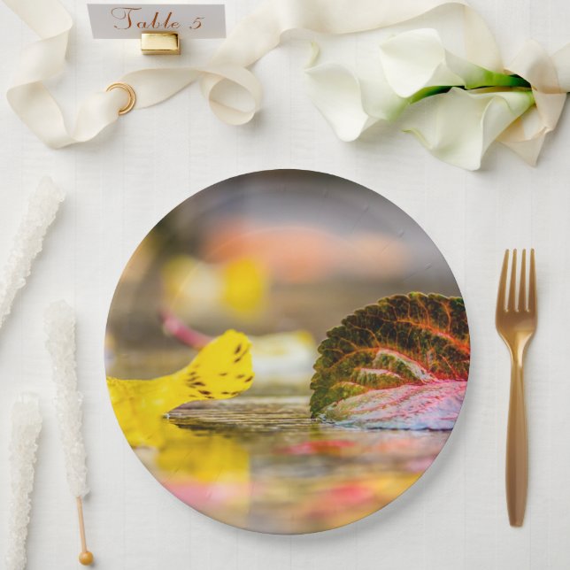 Fall colors paper plates (Wedding)