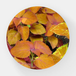 Fall Colors Paperweight