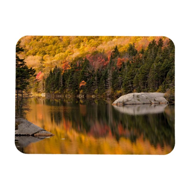 Fall Colors Reflected on Beaver Pond Magnet (Horizontal)
