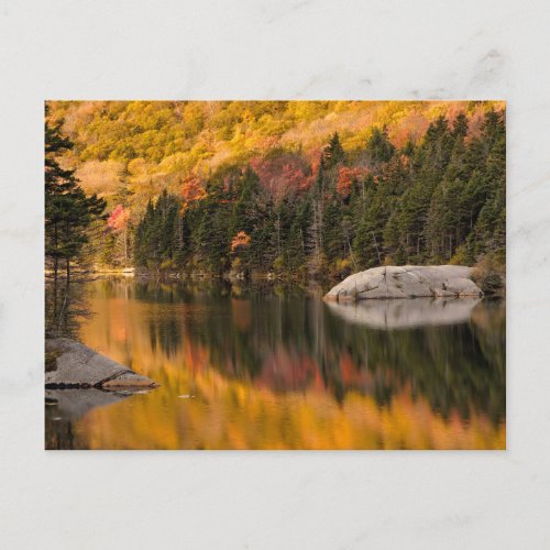 Fall Colors Reflected on Beaver Pond Postcard