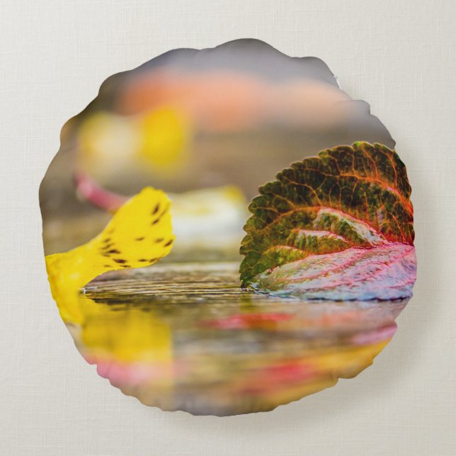 Fall colors round pillow (Back)
