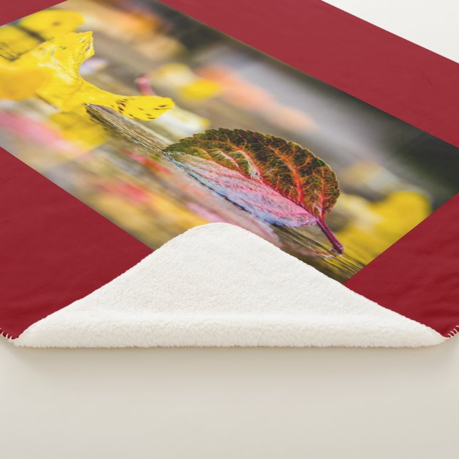 Fall colors sherpa blanket (3/4)