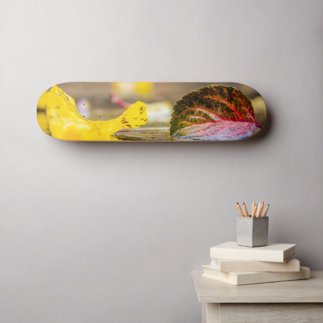 Fall colors skateboard (Wall Art (Horz))