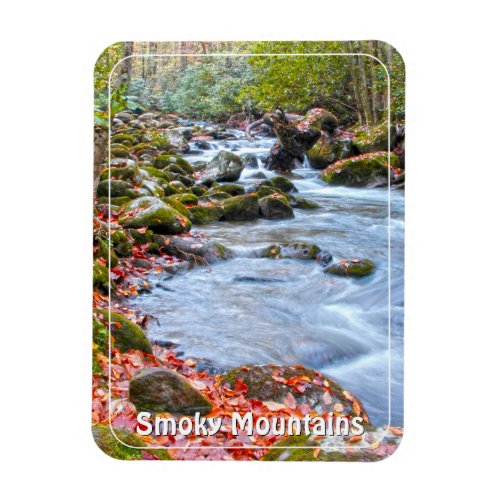 Fall Colors Smoky Mountain Stream GSMNP Photo Magnet
