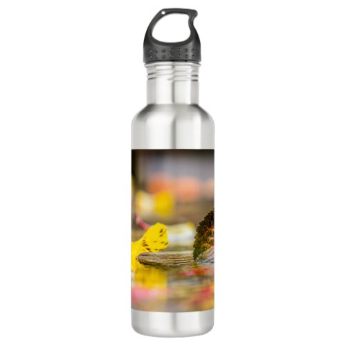 Fall colors stainless steel water bottle