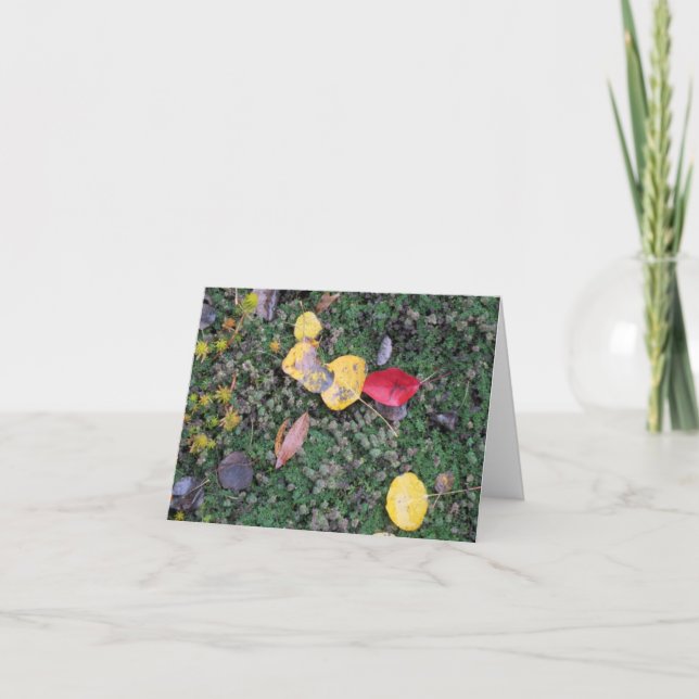 Fall Colors Sympathy Card (Front)