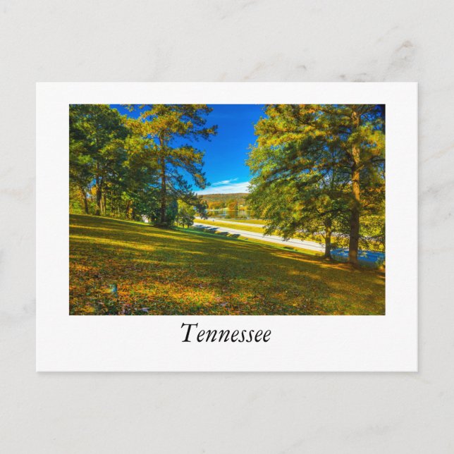 Fall Colors Tennessee Postcard (Front)