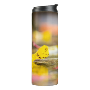 Fall colors thermal tumbler
