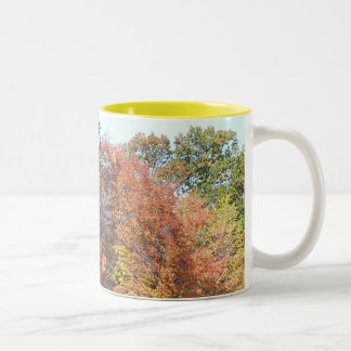 Fall Colors Two-Tone Coffee Mug