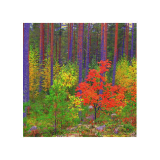 Fall colors wood wall art
