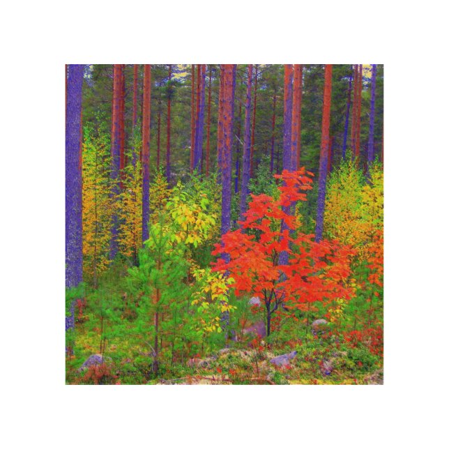Fall colors wood wall art (Front)