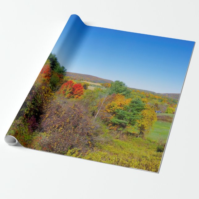 Fall Colors wrapping paper (Unrolled)