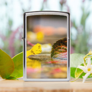 Fall colors zippo lighter