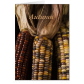 Fall Corn Harvest (Front)