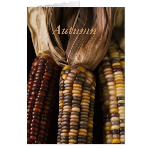Fall Corn Harvest Cards (Front)