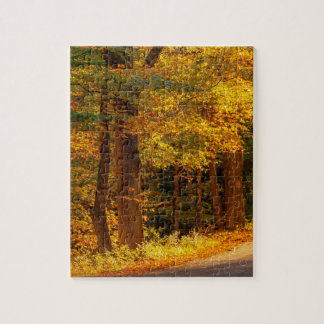 Fall Country Road Autumn Photo Jigsaw Puzzle