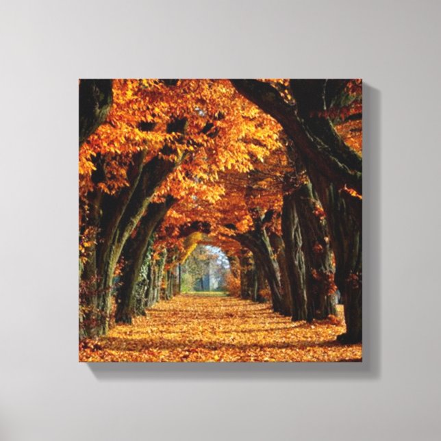 Fall  Country Road Canvas Print (Front)