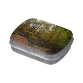 Fall Creek at Laurel Hill State Park Candy Tin (Side)