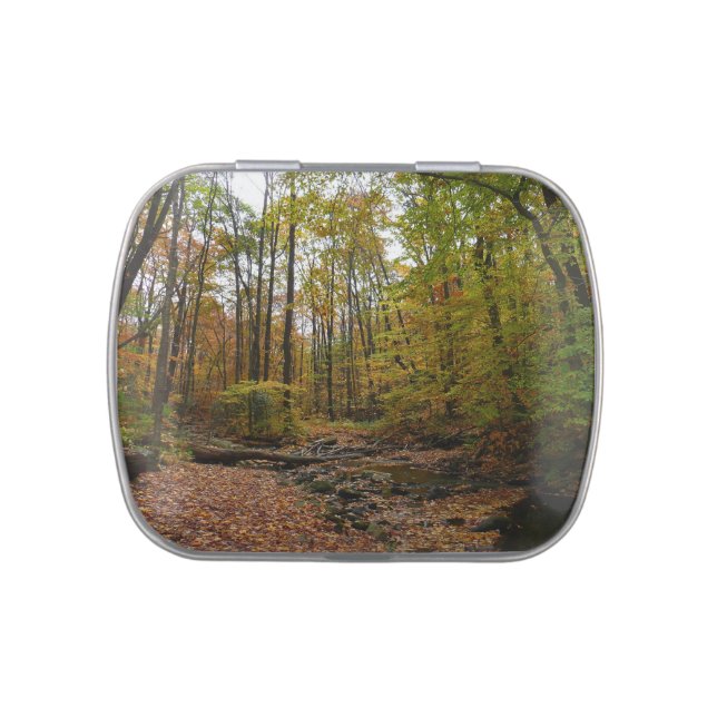 Fall Creek at Laurel Hill State Park Candy Tin (Top)