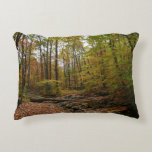 Fall Creek at Laurel Hill State Park Decorative Pillow