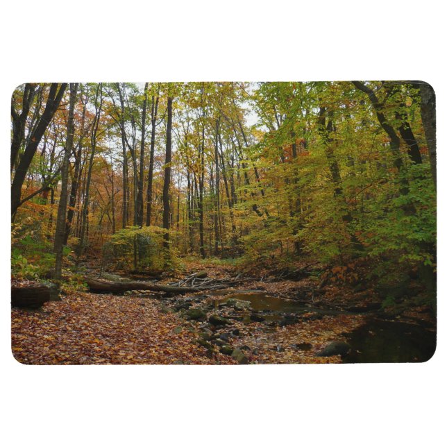 Fall Creek at Laurel Hill State Park Floor Mat (Front)