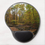 Fall Creek at Laurel Hill State Park Gel Mouse Pad