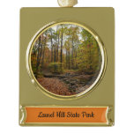 Fall Creek at Laurel Hill State Park Gold Plated Banner Ornament