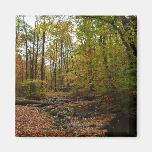 Fall Creek at Laurel Hill State Park Magnet